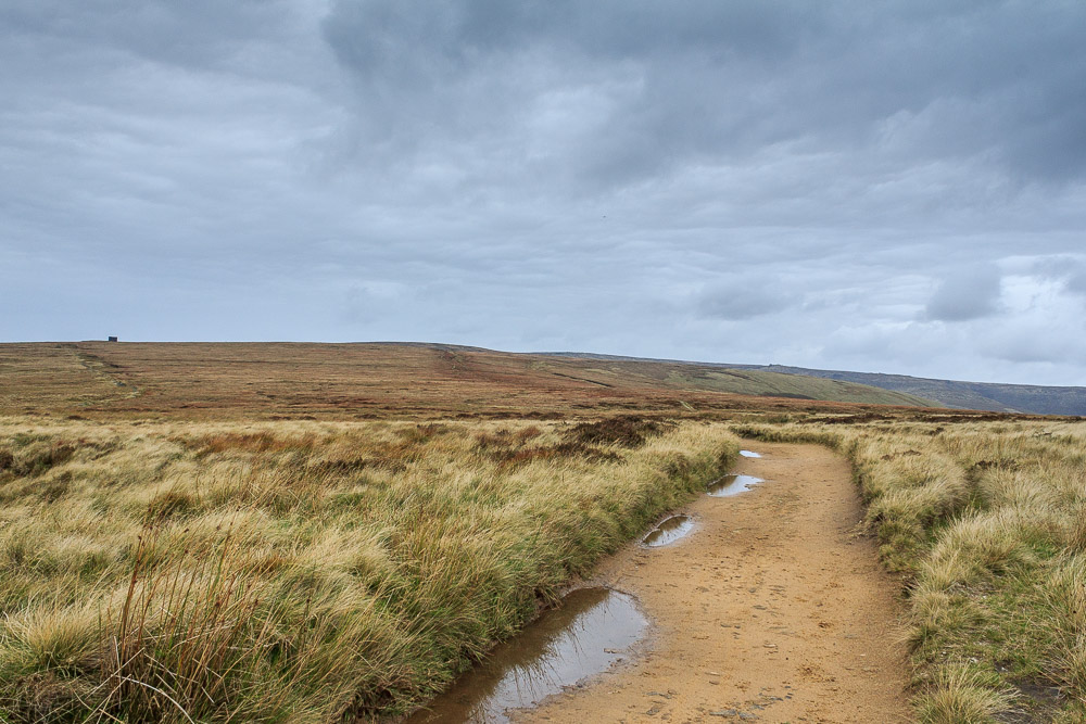 Brown Knoll Brown Knoll